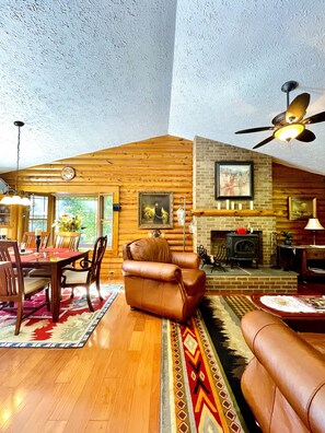 Tv, eldstad och dvd-spelare