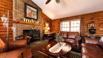 Televisión, chimenea y reproductor de DVD