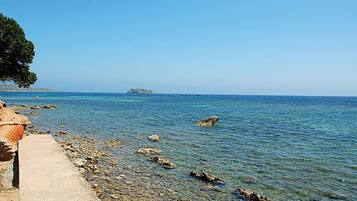 Lettini da mare