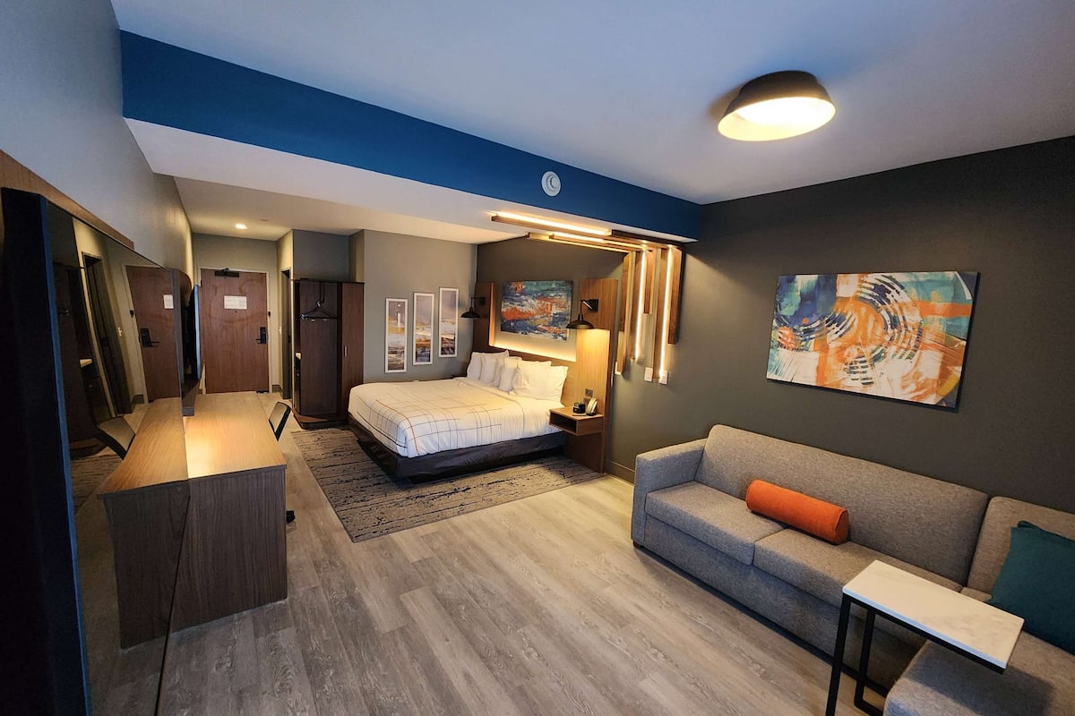 Suite, 1 King Bed, Non Smoking | 1 bedroom, Egyptian cotton sheets, premium bedding, desk