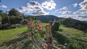 Un jardin agrémenté de fleurs en pleine floraison et d’une clôture rustique.