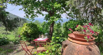 Podere le sorelle-country house 5km from the center of Lucca