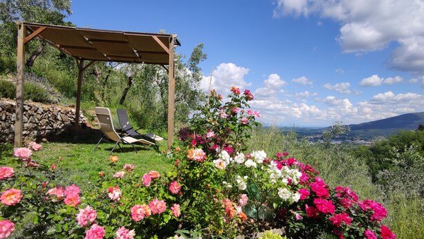 Un jardin agrémenté d’une pergola, de deux fauteuils de jardin et d’une variété de fleurs aux couleurs vives.