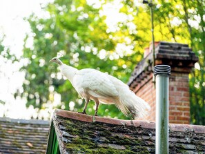 A white bird on a roof with a brick chimney.