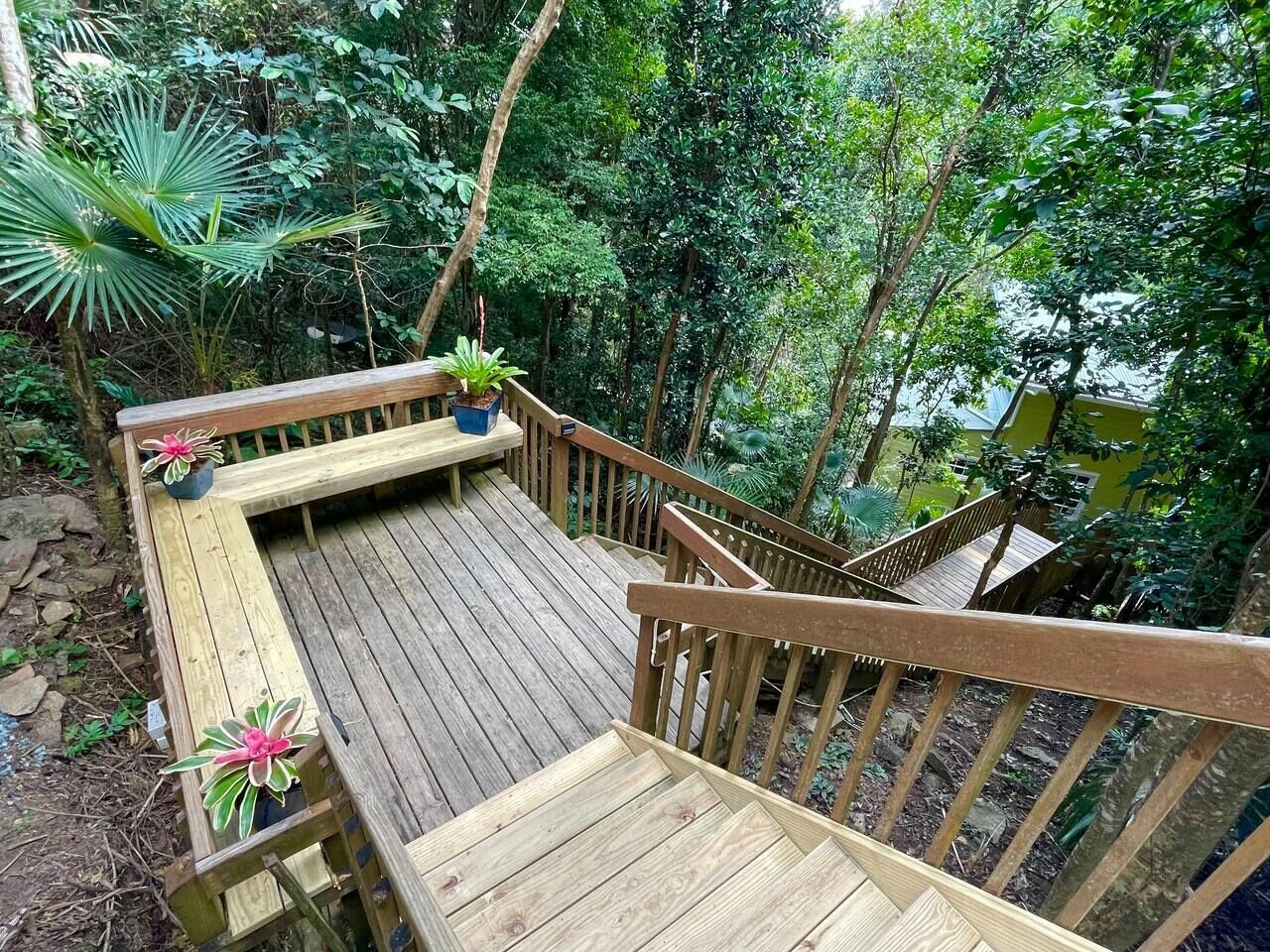 Eine Holzterrasse mit einer Bank und Topfpflanzen, umgeben von dichtem Grün.
