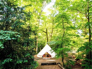 A white tent in a forest with dense green foliage.