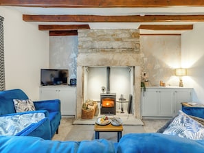 TV, fireplace