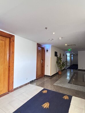 A hotel hallway with wooden doors, a potted plant, and a blue carpet with leaf patterns. - A pyramids view (Giza)