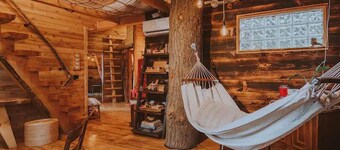 Treehouse over the water - Eagle's Nest
