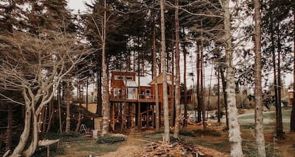 Treehouse over the water - Eagle's Nest