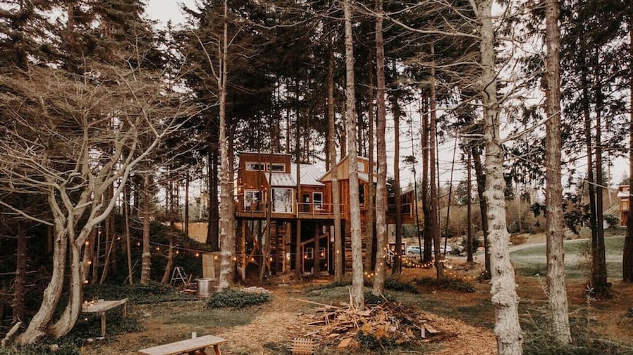 Treehouse over the water - Eagle's Nest
