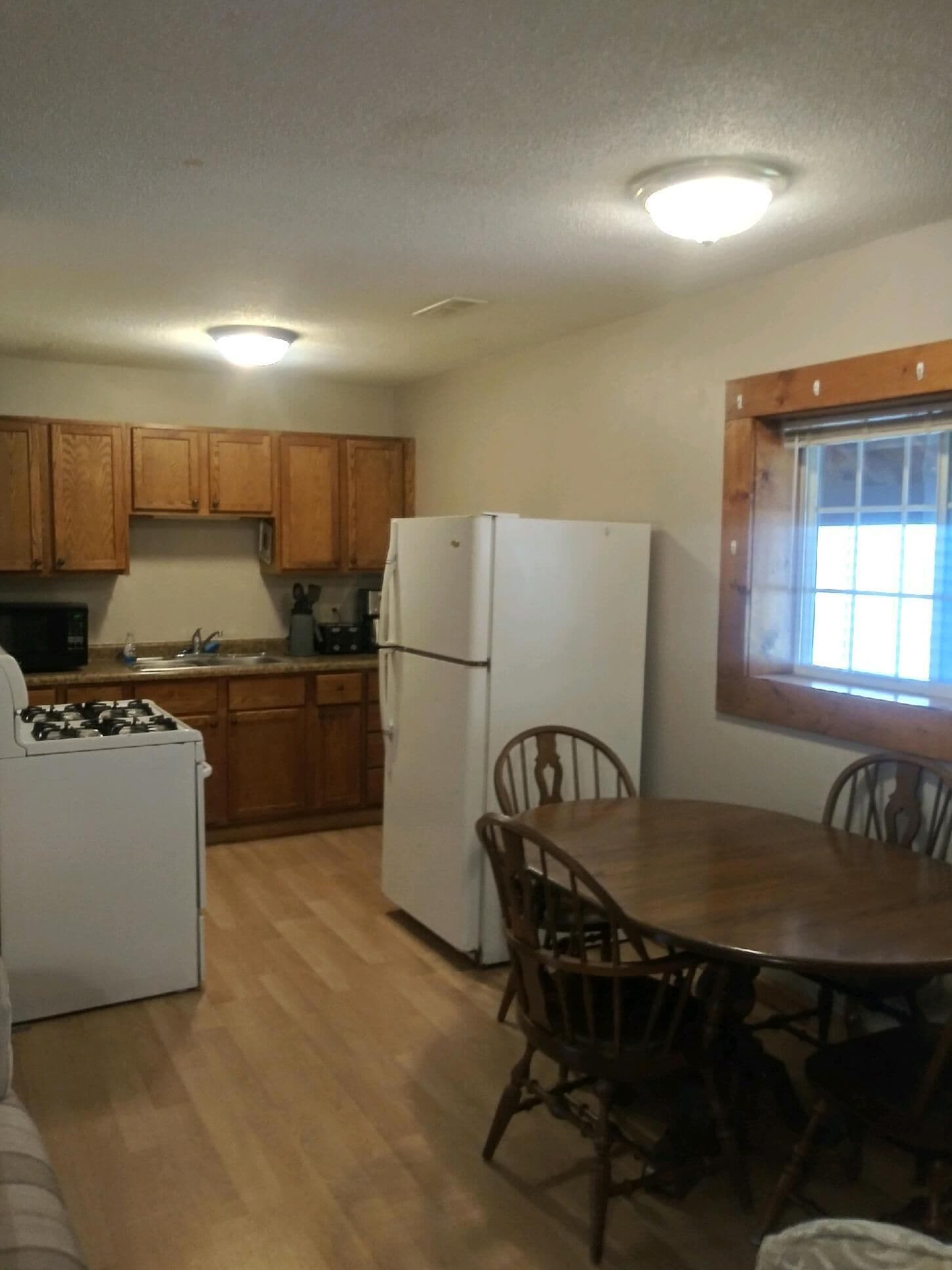 Mikrovågsugn, ugn, spishäll och pappersservetter