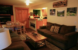 TV, fireplace, DVD player, books