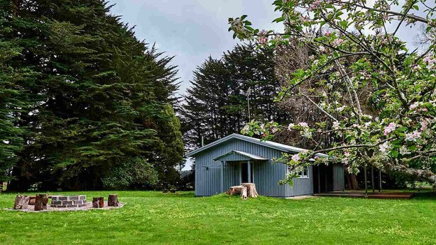 A small blue shed in a grassy area with trees and a large evergreen tree in the background. - Tarkinegrove... welcome to the wild side. (Roger River)