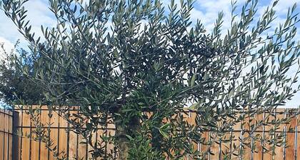 charmant logement neuf entre lac et centre bourg