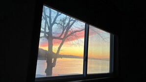Ein Fenster mit Blick auf einen Baum, der vor einem Wasserabschnitt in der Abendsonne hervortritt.