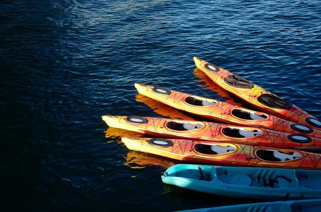 A row of kayaks lined up on calm water.