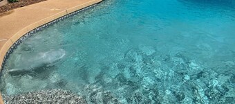 Diving Pool, Family Friendly & Pet Friendly @Cozy Mesa home close to everything!