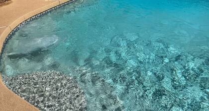 Diving Pool, Family Friendly & Pet Friendly @Cozy Mesa home close to everything!