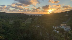 Eine Landschaft mit einem Haus, umgeben von viel Grün und einem Gewässer.