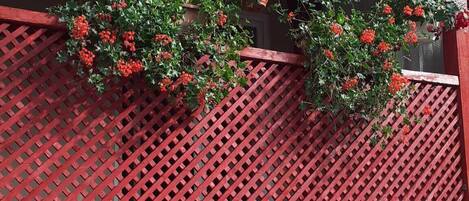 DĂ©tail de lâextĂ©rieur