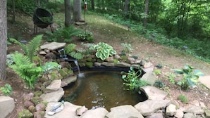 A small pond with a waterfall, surrounded by rocks and ferns, in a forested area.