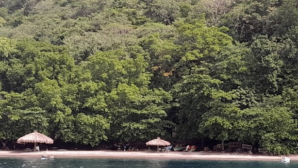 Una playa con cabañas de techo de paja y un denso follaje verde al fondo.