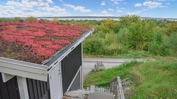 Un bâtiment doté d’un jardin sur le toit avec un toit rouge, d’un escalier menant à une porte, et offrant une vue sur une route et une végétation au loin.