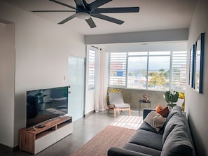 TV