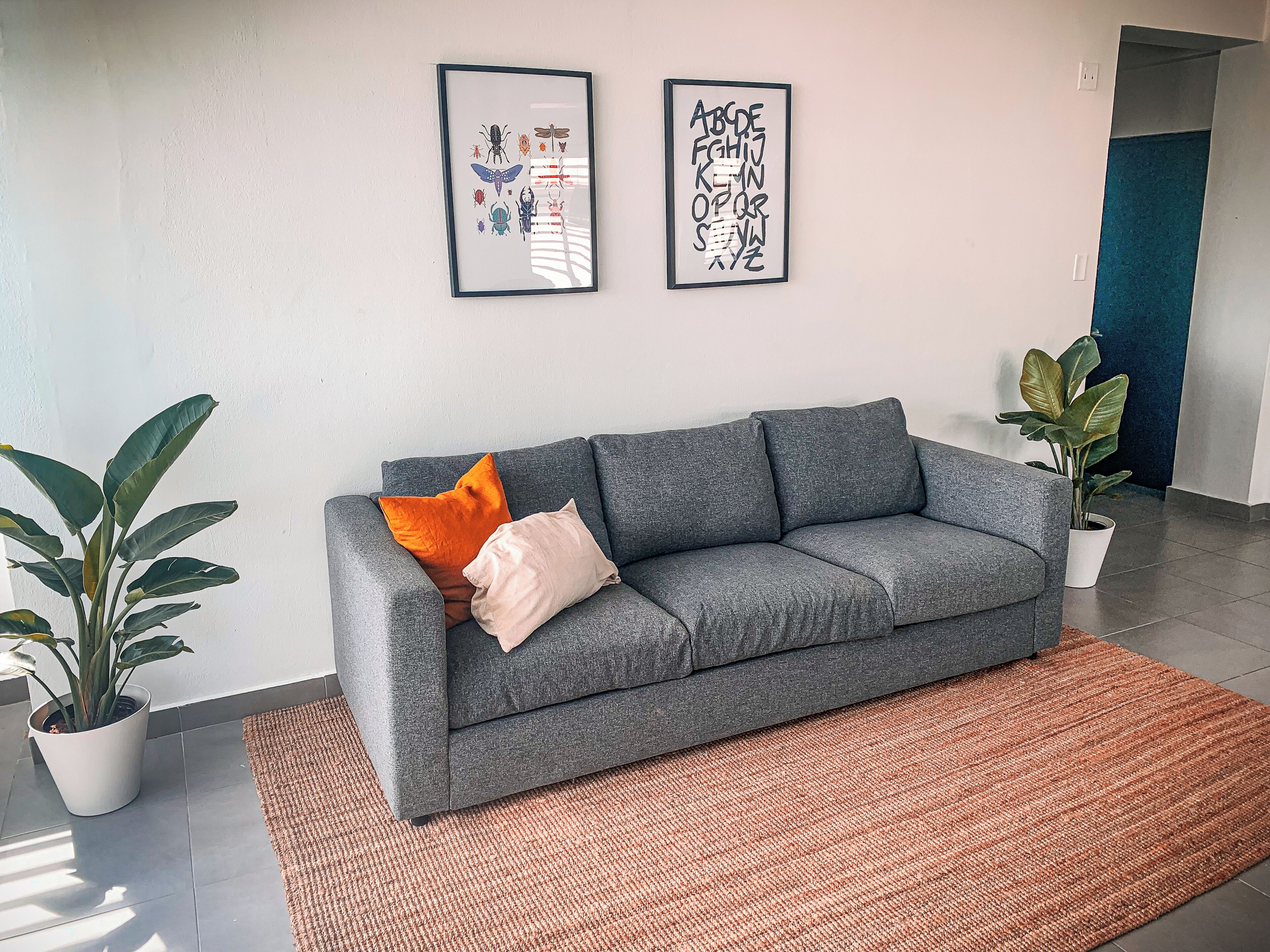 Un sofá gris con dos almohadas, una obra de arte enmarcada encima y una planta en maceta a la izquierda.