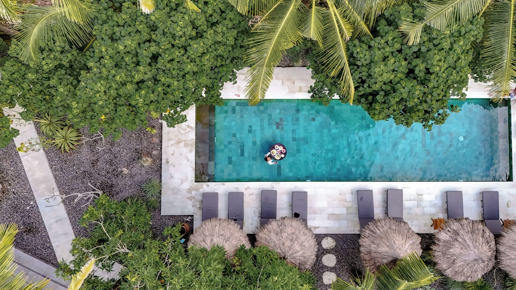 An aerial view of a rectangular swimming pool surrounded by lush greenery and palm trees.
