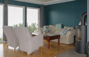 Televisión, chimenea y reproductor de DVD 