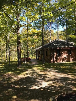 Property grounds - Cozy river cabin, steps away from blue ribbon fishing hiking trails. (Afton)
