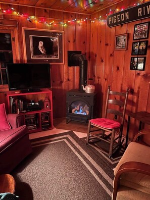 Televisión, chimenea y reproductor de DVD 