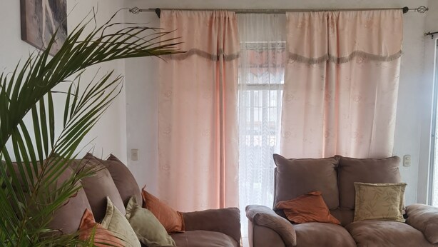 Un salon avec deux canapés marron, une grande plante en pot et un tableau accroché au mur.