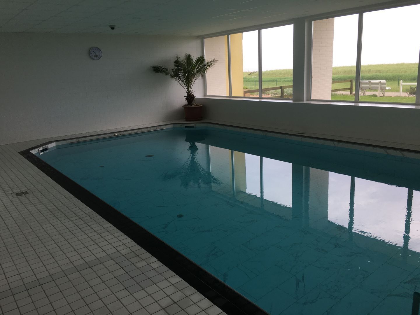 An indoor swimming pool with a tiled floor, a potted plant, and a view of a grassy field through large windows.
