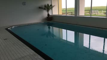 Ein Innenpool mit Fliesenboden, einem Blumentopf und Blick auf ein grünes Feld durch große Fenster.