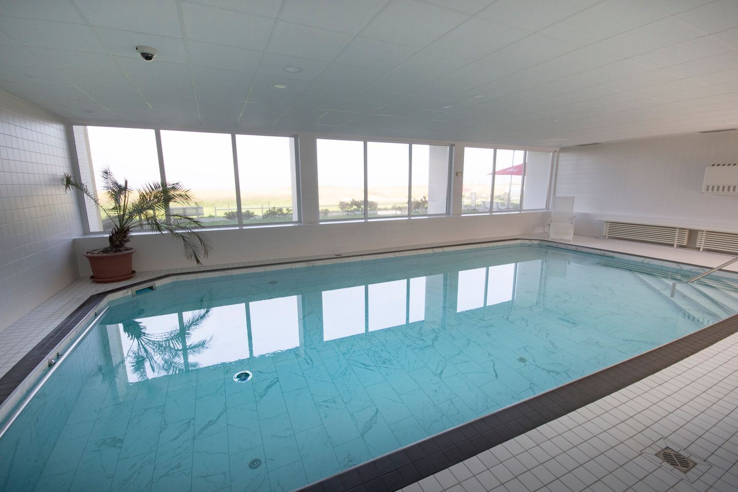 Ein Hallenbad mit großen Fenstern, einem Blumentopf und gefliesten Wänden.