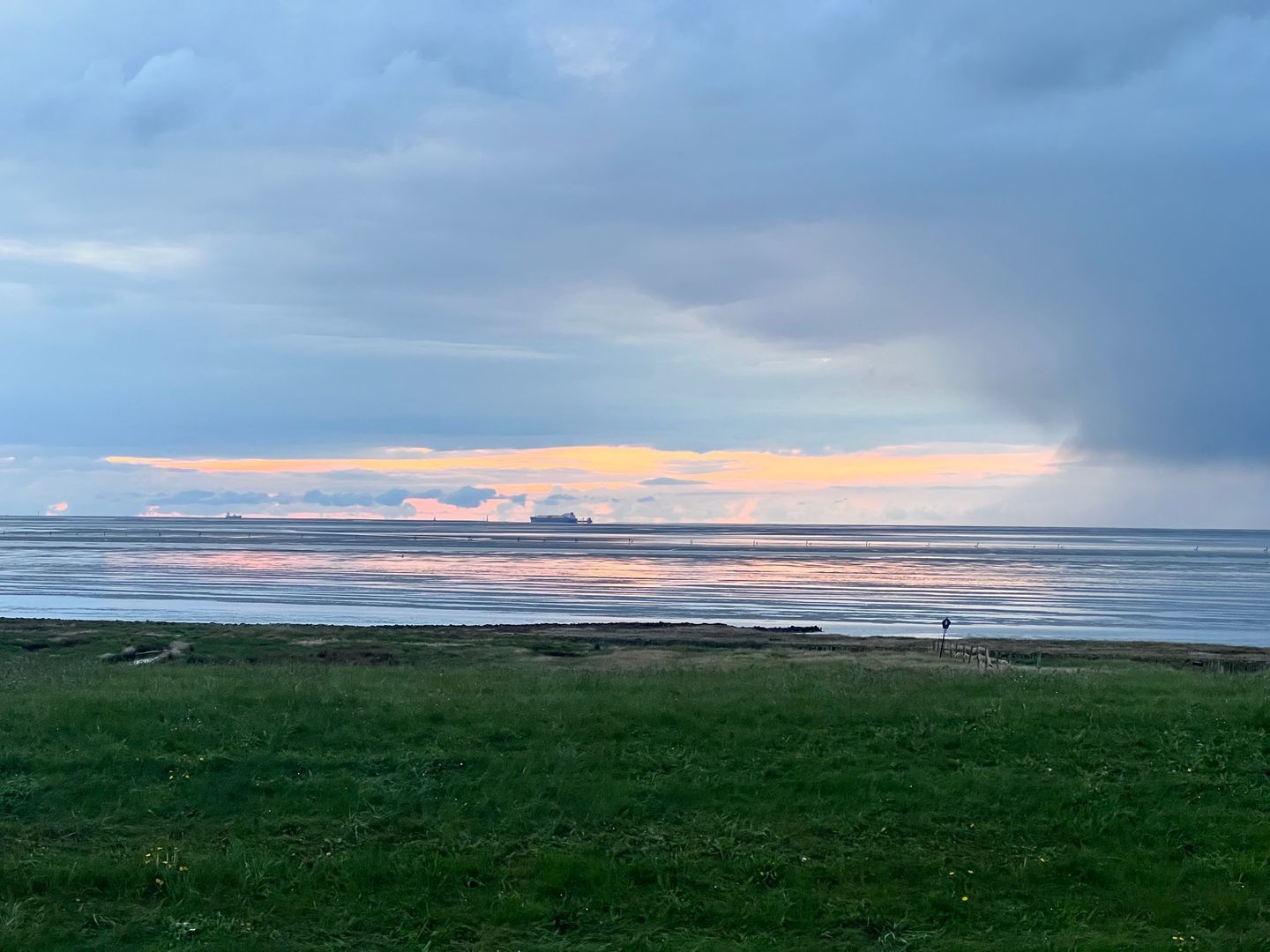 A coastal landscape with a grassy foreground, a body of water, and a distant ship.