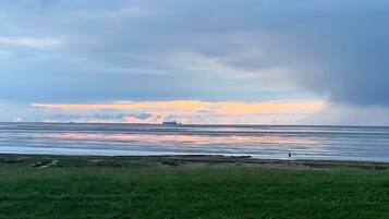 A coastal landscape with a grassy foreground, a body of water, and a distant ship.