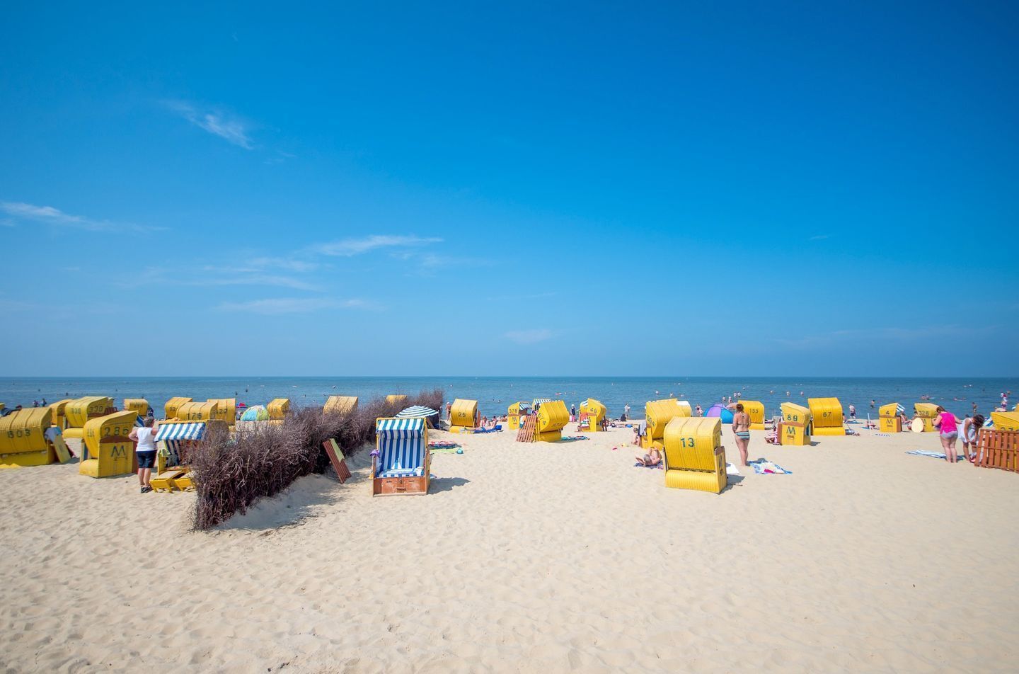Strand