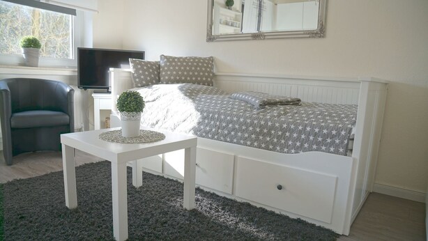 Une chambre à coucher avec un lit, une petite table, une chaise, un téléviseur et une fenêtre avec une plante.