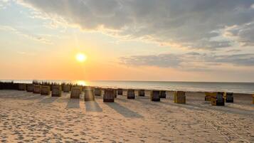 Ein Strand mit sonnigem Sand und einer Reihe von Liegen, die zum Meer blicken.