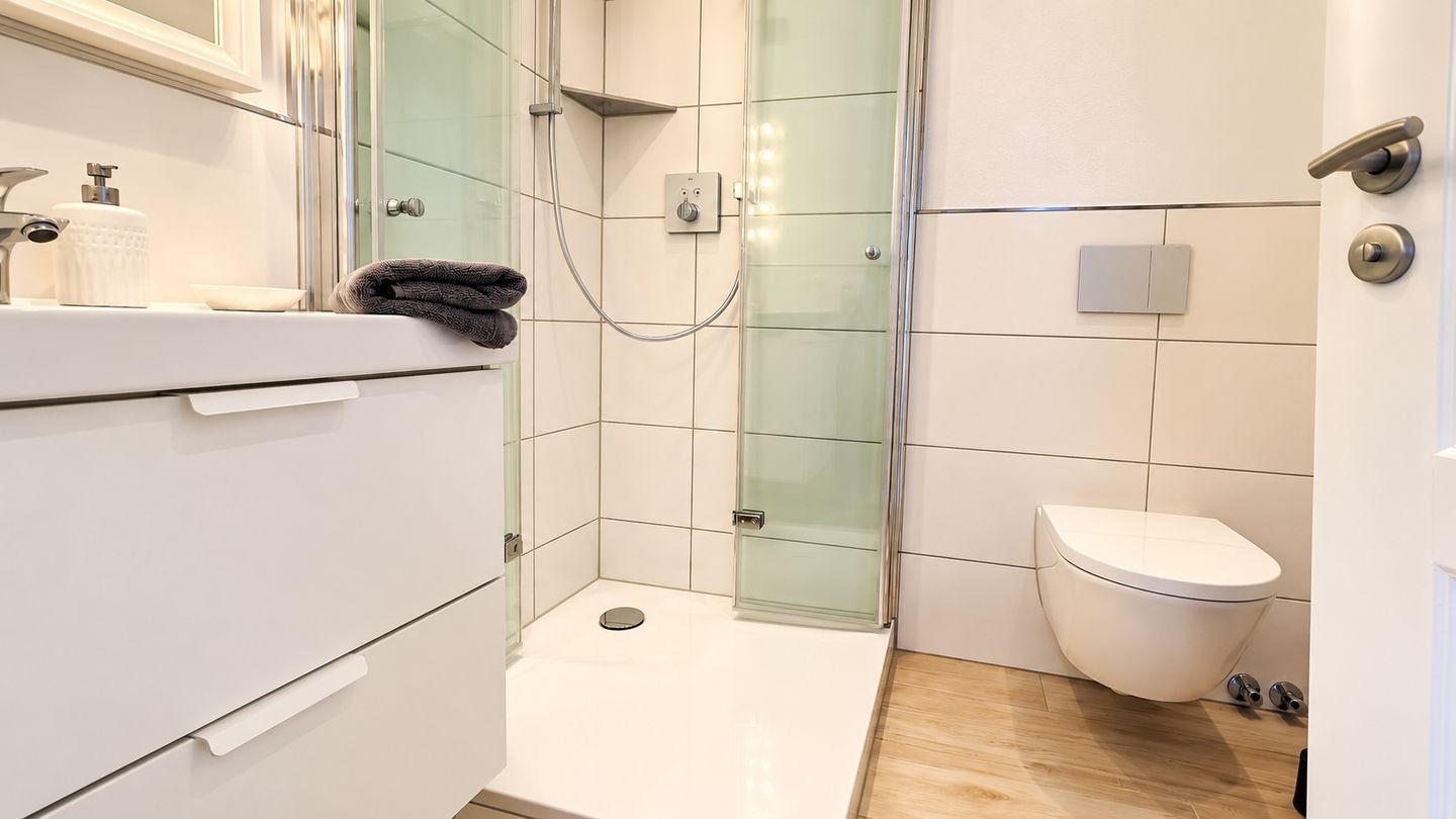 Ein modernes Badezimmer mit einer Duschkabine aus Glas, einer weißen Toilette und einem Waschtisch mit Handtuchhalter.