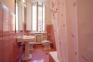 Combined shower/bathtub, hair dryer, bidet, towels