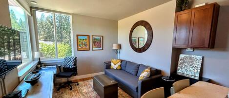 Smart TV, DVD player, books