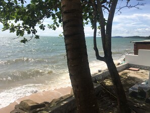 A beach view with a stone wall and a palm tree.