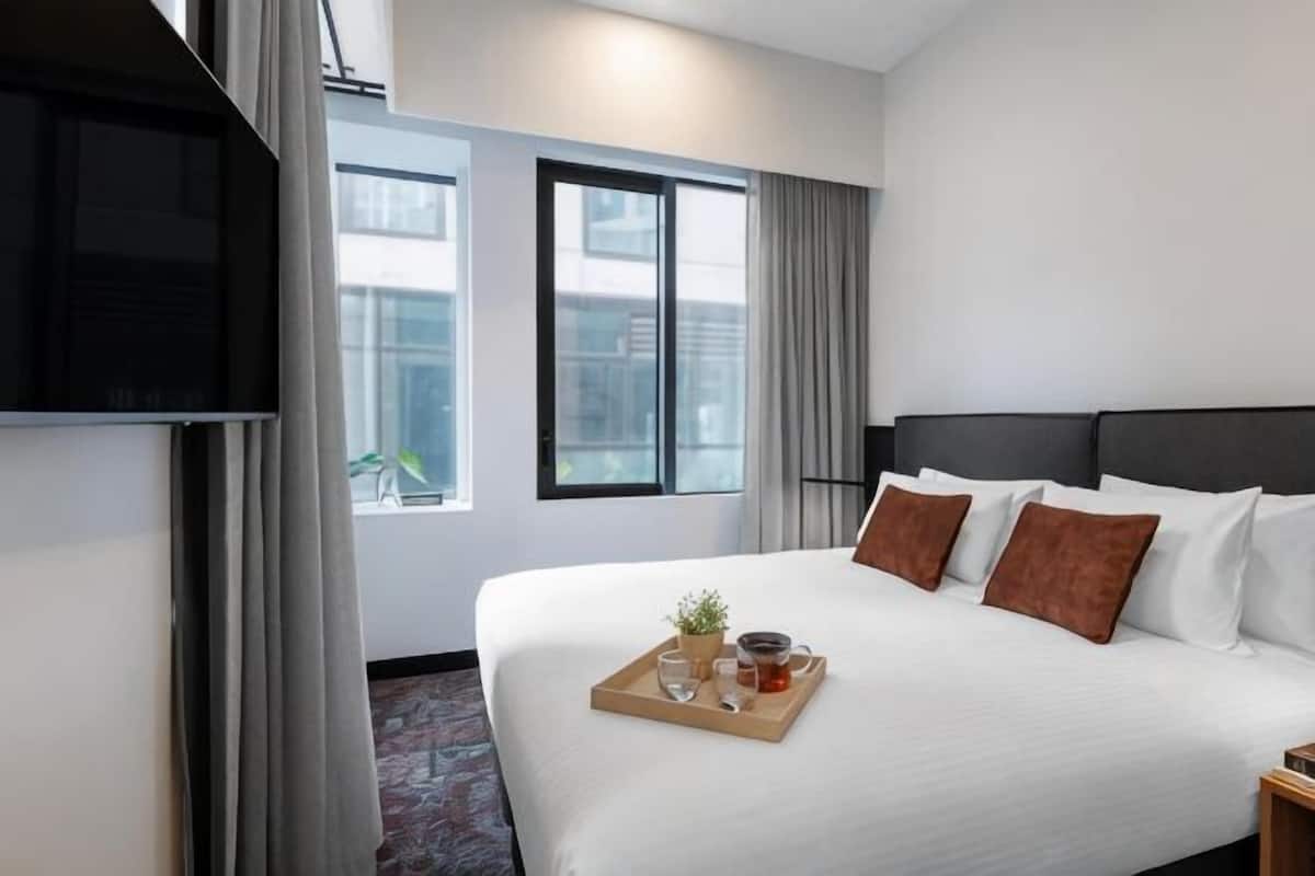 A hotel room with a bed, a TV, a window, and a tray with a plant and a cup.