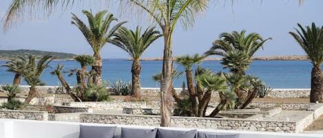 المنطقة المحيطة بالمنشأة