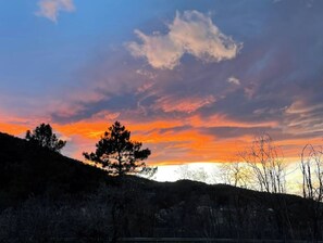 A sunset over a hilly landscape with a prominent tree silhouette.